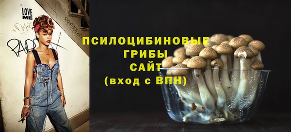 твердый Каменка